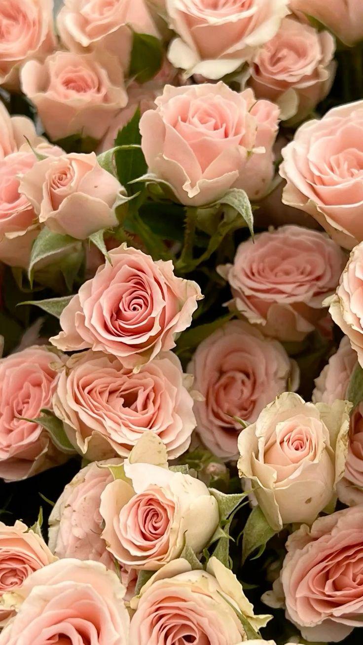 Celestial Melody: Starlit Night Floral Symphony